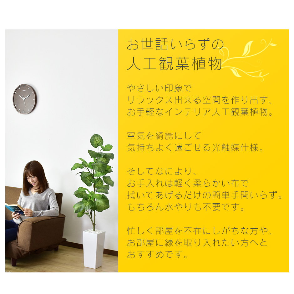 クーポン オフ 1 造花 10 0時 花 観葉植物 24時 人工観葉植物 光触媒 フィカス ウンベラータ 光触媒 水やり不要 高さ1 インテリアグリーン 観葉植物 造花 フィカス ウンベラータ 新生活応援 送料無料 Grazia室内 おしゃれ 人工観葉植物 造花 光触媒 水やり不要