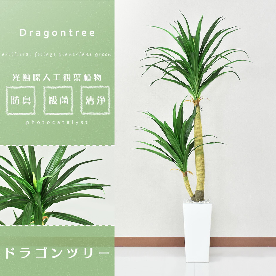 新しいコレクション 人工観葉植物 フェイクグリーン 観葉植物 ドラゴンツリー 造花 光触媒 5号 鉢 水やり不要 インテリア おしゃれ お祝い 誕生日 結婚 父 母 お礼 贈り物 プレゼント Ojs Stikes Muhammadiyahku Ac Id