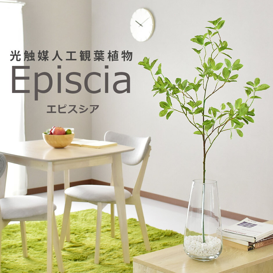 人工観葉植物 光触媒 エピスシア ガラス鉢 水やり不要 インテリアグリーン 観葉植物 造花エピスシア 送料無料 売り出し