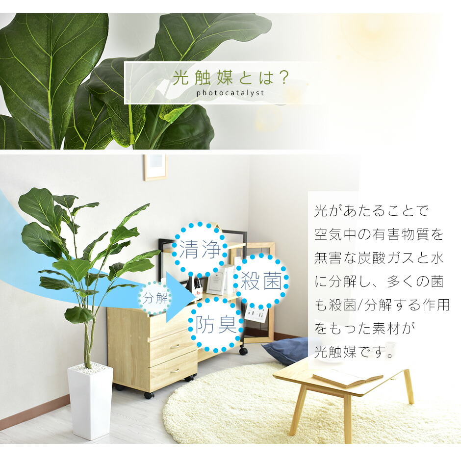 61 Off 人工観葉植物 フェイクグリーン 観葉植物 ゴムノキ インテリアグリーン 造花 光触媒 5号 鉢 水やり不要 インテリア お祝い 誕生日 父 母 男性 女性 お礼 贈り物 プレゼント カシワバゴムノキ Tonna Com