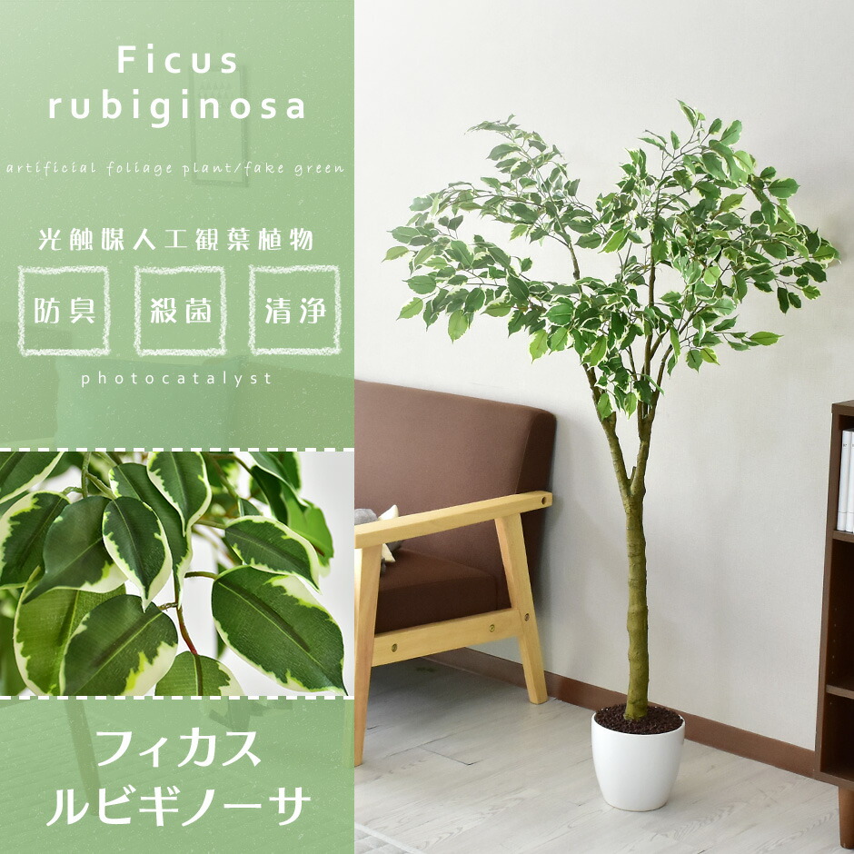 観葉植物 フェイクグリーン ポイント5倍 フェイクグリーン 人工観葉植物 6 24 観葉植物 12時 24時 父の日花 ガーデン Diy フェイクグリーン ルビギノーサ 人工観葉植物 人工観葉植物 ルビギノーサ 送料無料 父の日 Grazia