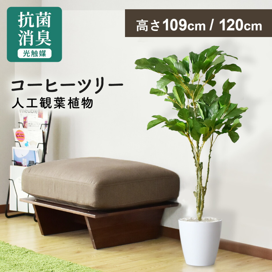 楽天市場】人工観葉植物 お手入れ不要 完成品 かんたん設置 フェイク