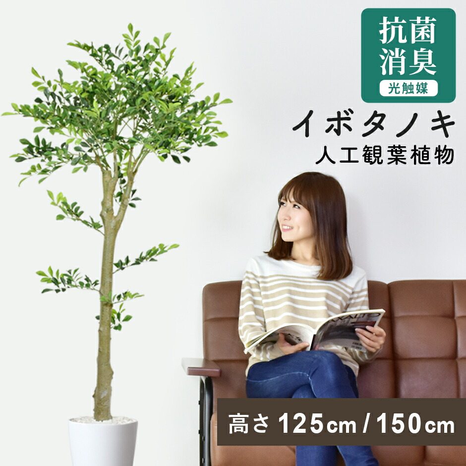 【クーポン10%off 4/15 20時～24時】 人工観葉植物 大型 高さ150 お手入れ不要 完成品 かんたん設置 フェイクグリーン フェイクプラント 室内用 鉢付き 置くだけ 観葉植物 リビング 人工植物 インテリアグリーン 造花 光触媒 5号 鉢 水 イボタノキ150cm 新生活