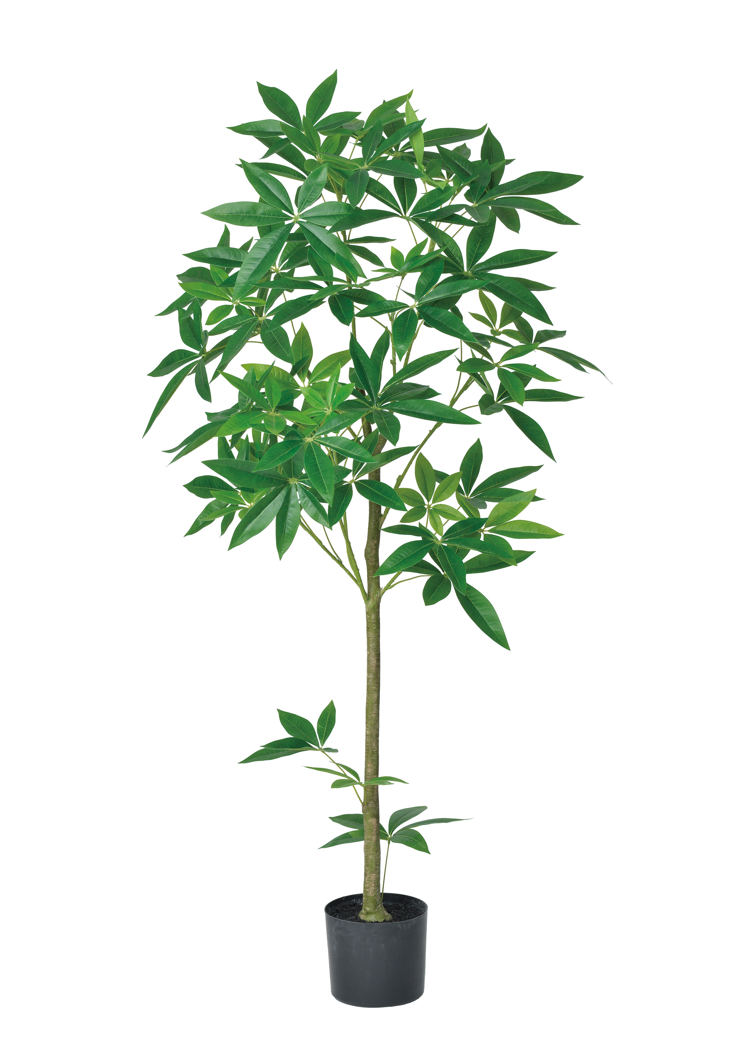 WEB限定デザイン 光触媒 人工観葉植物 ウォールグリーン フェイク