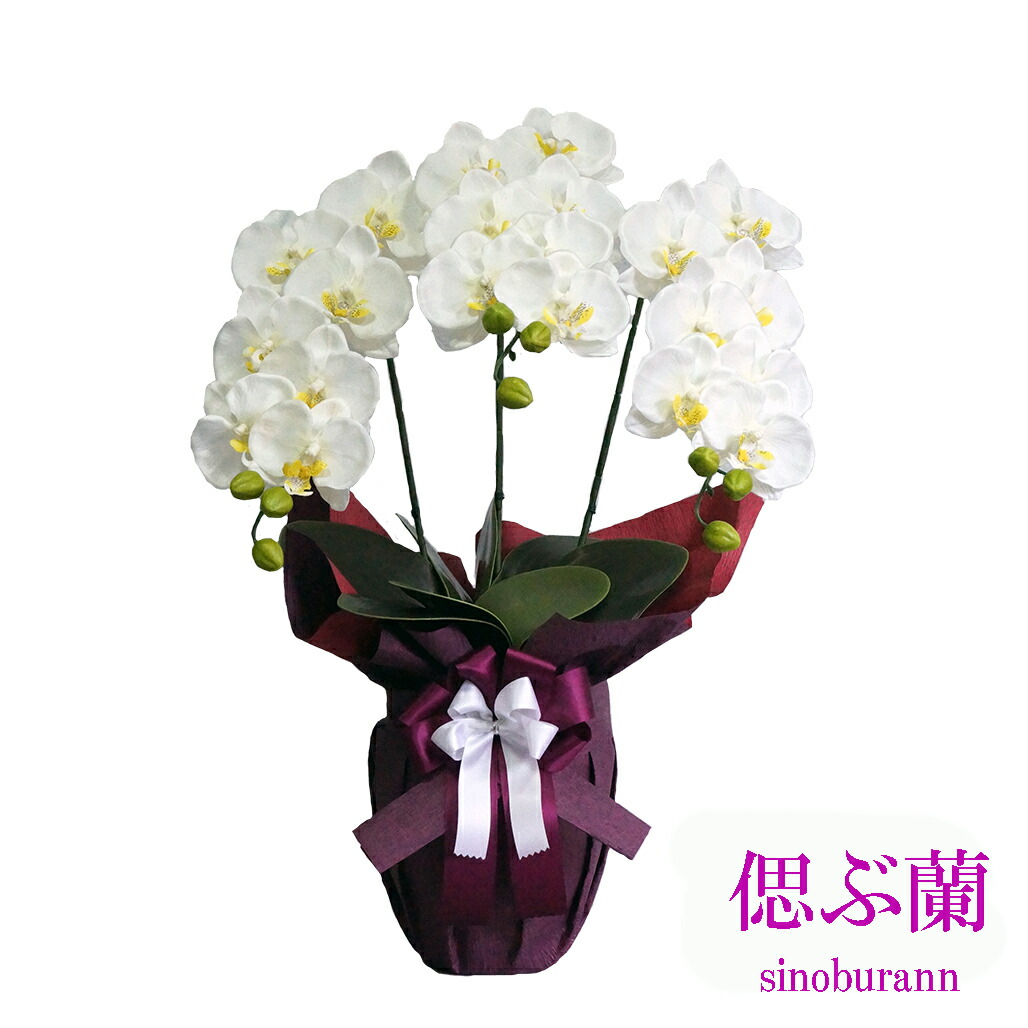 楽天市場】造花 御供えアレンジ 胡蝶蘭ポット 仏花アレンジ 触媒