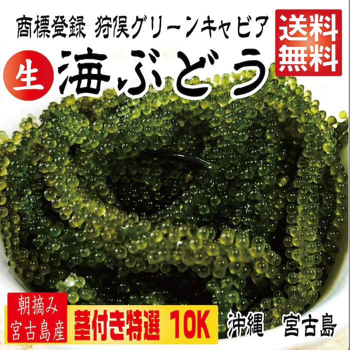 【楽天市場】【茎付き 1.5キロ】250g×6箱 250gにタレ2P 登録商標