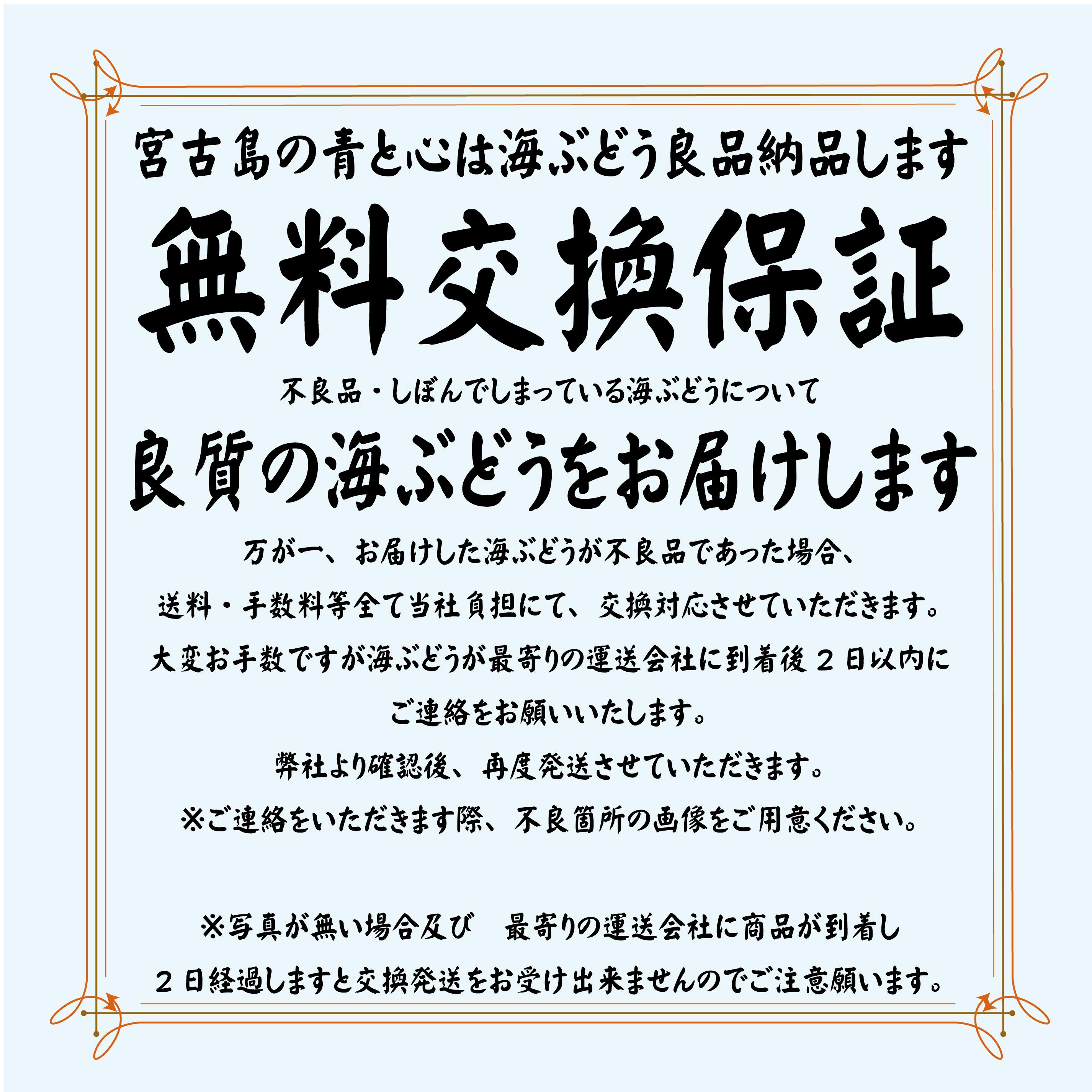 楽天市場 茎付き 2キロ 250g 8箱 250gにタレ2p 登録商標 海ぶどう 茎付き 2キロ 沖縄 宮古島 海ぶどう 直送 池間島 登録商標 送料無料 2kg 2k プレゼント うみぶどう 海葡萄 沖縄 宮古島の青と心