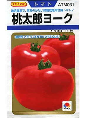 非売品 タキイ タキットくん 桃太郎トマト ぬいぐるみ 非売品 タキイ タキットくん 桃太郎トマト ぬいぐるみ
