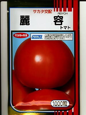 赤茄子 サカタ掛け合わせ・・・王さま赤茄子麗容・・・＜サカタの大玉赤茄子です。 種の物ごとならお任せ緑であることデポ＞