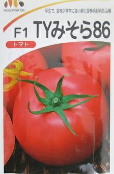 トマト　Ｆ１ＴＹみそら８６　　みかど協和の大玉トマト種です。 30,043円