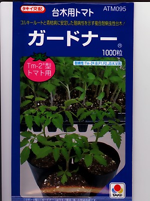 赤茄子台木 タキイ掛け合わせ・・・ガードナー・・・＜タキイの台木赤茄子です。種の物ごとならお任せ緑であることデポ＞