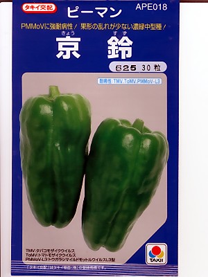 ピーマン　タキイ交配・・・京鈴・・・＜タキイのピーマンです。　種のことならお任せグリーンデポ＞