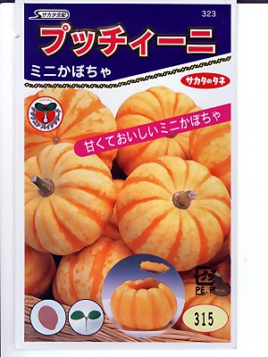 楽天市場】ミニカボチャ種子 赤い坊ちゃん 登録品種 みかど協和 楽天市場】ミニカボチャ種子 赤い坊ちゃん 登録品種 みかど協和