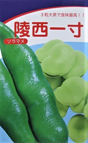 楽天市場】ソラマメ 珍しい赤そら豆！ 初姫 みかど協和の蚕豆種