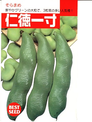 そらまめ様 楽天市場】ソラマメ 珍しい赤そら豆！ 初姫 みかど協和の蚕豆種
