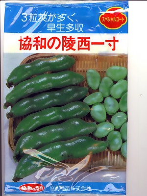 楽天市場】ソラマメ 珍しい赤そら豆！ 初姫 みかど協和の蚕豆種