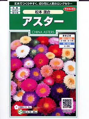 楽天市場 アスター種子 サカタのタネ アスター松本混合 サカタのアスター種子です タネのことならグリーンデポ ｇｒｅｅｎ ｄｅｐｏｔ