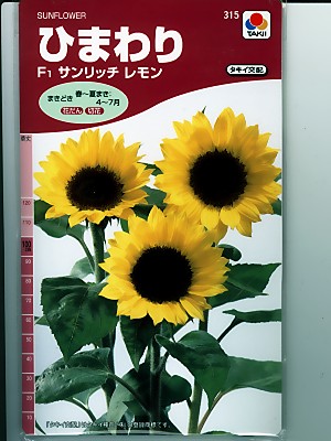 ひまわりです ネックレス K10イエローゴールド シトリン ペリドット ホワイト