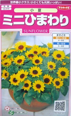 NO?YES! ひまわりのたね Pet'sOne ひまわりの種 350g | ペット用品（小動物・鳥・亀