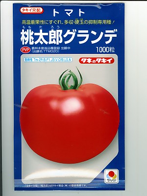 楽天市場 タキイ交配 桃太郎グランデ タキイ種苗のトマト品種です 種の通販ならグリーンデポ ｇｒｅｅｎ ｄｅｐｏｔ