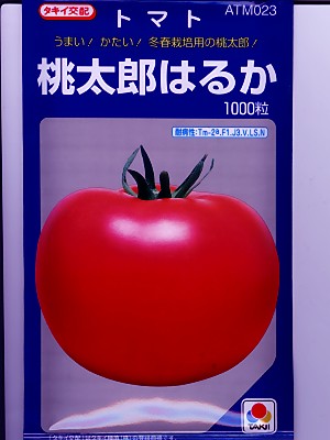 トマトの種　タキイ交配・・・ＣＦ桃太郎はるか・・・＜タキイのトマトの種です。種のことならお任せグリーンデポ＞｜ＧＲＥＥＮ　ＤＥＰＯＴ