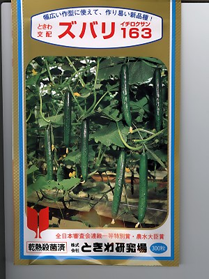 胡瓜の種 ときわ掛け合わせ  ズバリ１６３  ときわの胡瓜です。種の物ごとならお任せ緑であることデポ