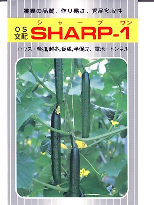 黄瓜の種 ＯＳ掛け合わせ ＳＨＡＲＰ－１ 埼玉原種育みそだてる会の黄瓜内果皮