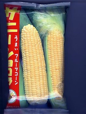 トウモロコシ種子　サニーショコラ　みかど協和のトウモロコシ品種です。