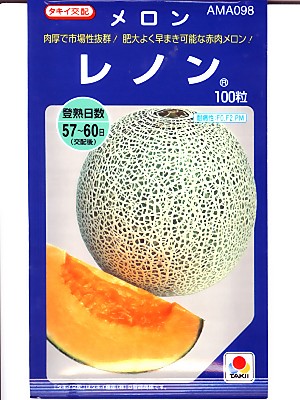 メロン種　タキイ交配　レノン　　タキイ種苗のネットメロン品種です。
