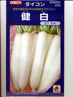 大根役者種 タキイ掛け合わせ 健白大根役者 タキイ種苗の大根役者内果皮です。
