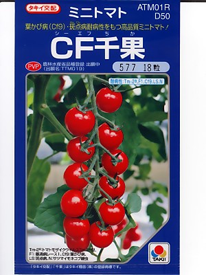 ミニトマト種子 タキイ交配 CF千果 登録品種 タキイのミニトマト品種です。|GREEN DEPOT