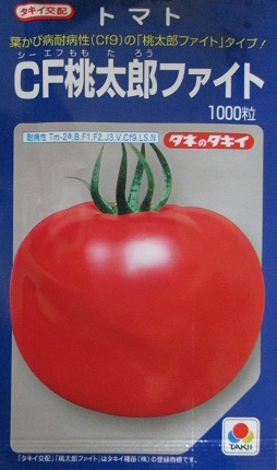 ｃｆ桃太郎ファイト 野菜の種子ｄｅｐｏｔ美味しい桃太郎ファイトが 進化して葉カビ病に強くなりました トマトの種タキイ交配タキイ種苗のトマトの品種です トマト種のことならお任せグリーンデポ ｇｒｅｅｎ Www Autopretenzija Eu