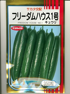 サカタ掛け合わせ フリーダムハウス1号 サカタのタネの黄瓜亜種です。
