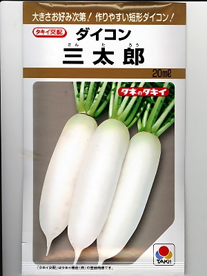 大根太郎 三太郎大根／さんたろうだいこん＜短形大根の品種：旬の野菜百科
