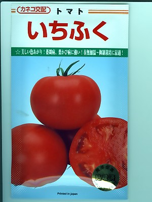 カネコ掛け合わせ いちふく  カネコ種苗の赤茄子亜種です。