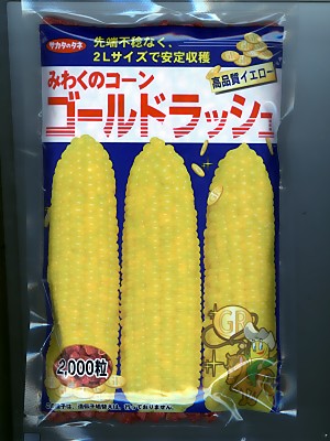 玉蜀黍種 サカタ掛け合わせ ゴールド混雑時 サカタのタネの玉蜀黍亜種 （2000粒入り口・入口）