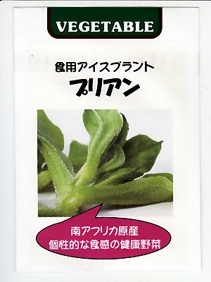 楽天市場】アイスプラント プチサラ 武蔵野種苗園のアイス