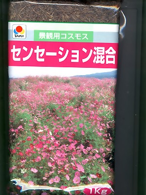 緑化用全ての存在 波紋練りあわせる