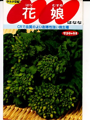 楽天市場 食用ナバナ種 花娘 サカタのタネの食用花菜の種です ｇｒｅｅｎ ｄｅｐｏｔ