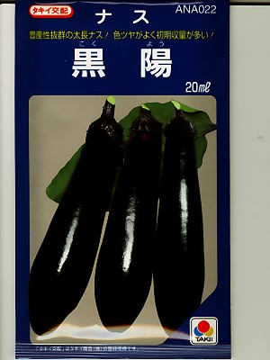 タキイ交配　黒陽ナス　　タキイの長ナス品種です。登録品種　海外持ち出し禁止