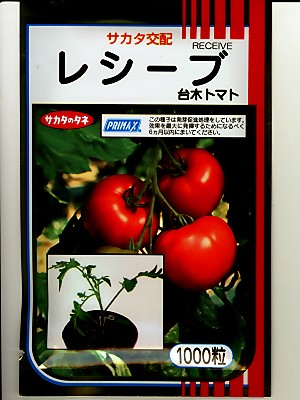 トマト台木種　サカタ交配　レシーブ　　　サカタのタネの台木トマトです。