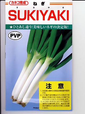 negiねぎ NEGI☀️ねぎ (@NEGI_133) / X