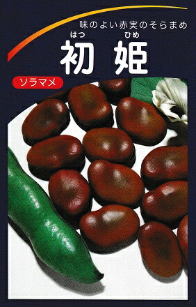 そらまめ 冷凍そら豆 ニッスイ 塩味 空豆 塩あじそら豆 1kg (500g×2P