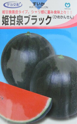 a1084_1.jpg