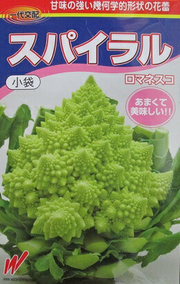 楽天市場】カリフラワー1ケース、8個前後、4Kg〜6Kg前後 : 【築地通販