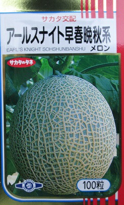 楽天市場】メロン種 サカタ交配 アールスナイト春・秋系 サカタ