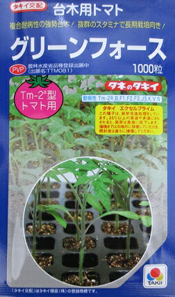 台木用トマト タキイ交配 グリーンフォース タキイ種苗の台木用トマト品種です。