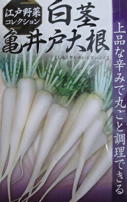 楽天市場】タカヤマ交配 四季まさり大根 四季蒔きタイプの大根品種です