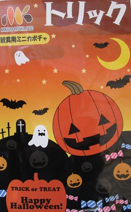 楽天市場】ハロウィン用おもちゃかぼちゃ フルーツミックス様々な種類