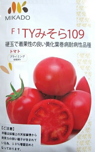 Ｆ１　ＴＹみそら１０９　ヴィルモランみかどの大玉トマト品種（1000粒）